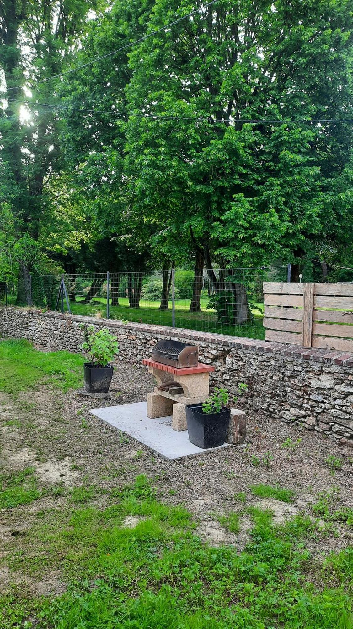 Gite Du Chateau De Chambonnieres Le Plessis-Feu-Aussoux エクステリア 写真